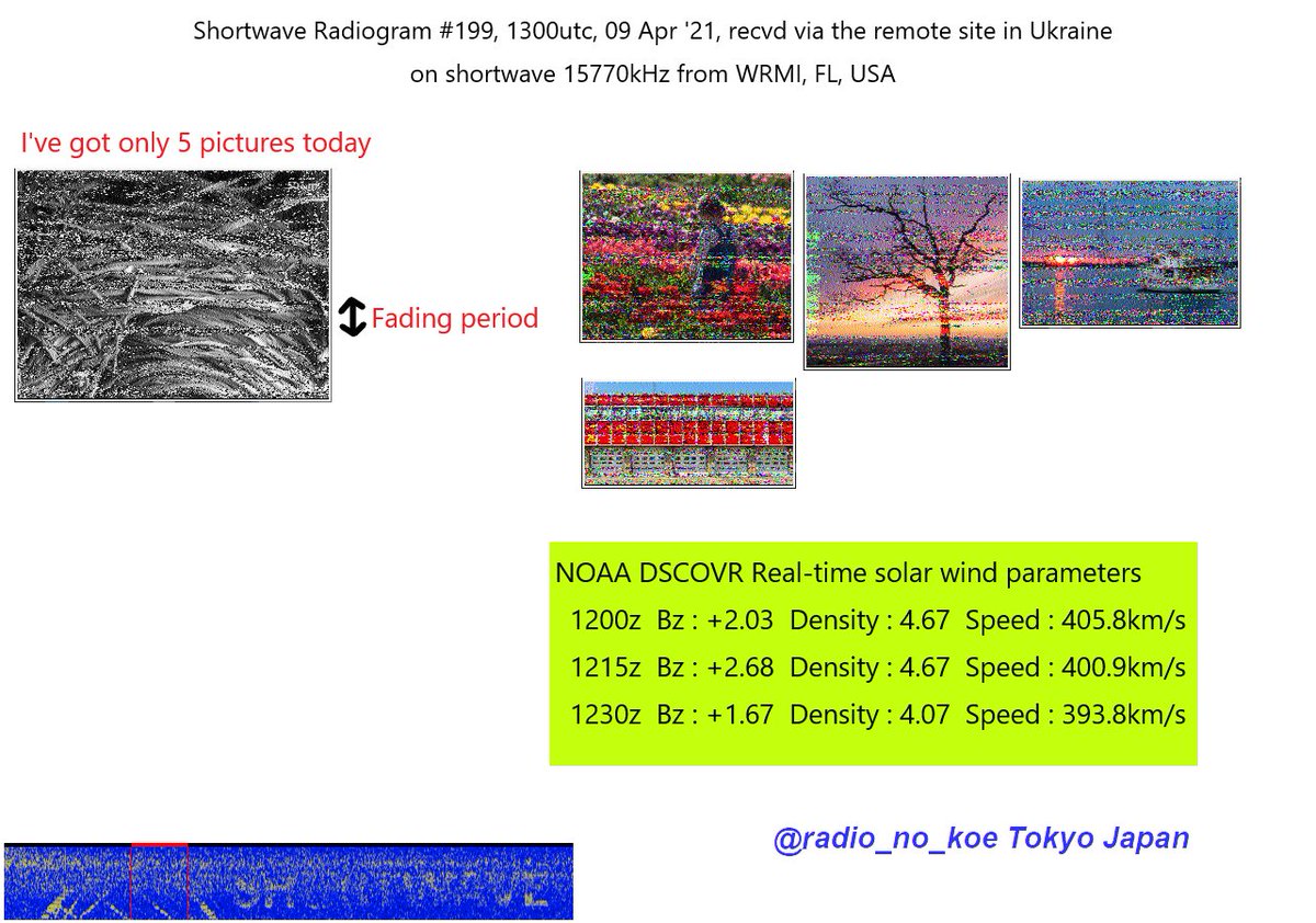 radio_no_koe's tweet photo. I've got the pictures from @SWRadiogram 13utc, 09 Apr '21, received via #RemoteSDR in Ukraine. I decoded only 5 pictures.
Station : WRMI
Program : Shortwave Radiogram #199
Freq : 15770kHz
#RemoteBCL https://t.co/4tAWqLH09B