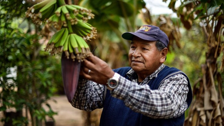 ccfd_tsolidaire's tweet photo. #podcast
@martinwillaume nous parle des indiens #guaranis en #bolivie.
Bien loin de l’#agriculture conventionnelle dont ils constatent l’impact négatif sur leur #environnement, ils défendent et pratiquent une agriculture familiale et communautaire : https://t.co/R4eOluyMJH https://t.co/6XFTUb7pIZ
