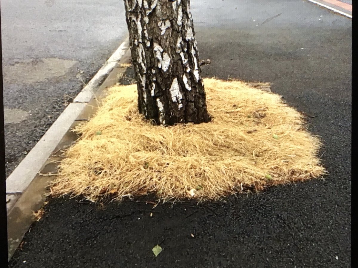 WorthingCan's tweet photo. Which do you prefer? Stop spraying #glyphosate in our streets ⁦@WSCCNews⁩ ⁦@WSHighways⁩ #pesticidefreewestsussex ⁦@PAN_UK⁩ ⁦@davidson_mela⁩ https://t.co/TaBDoh4tho