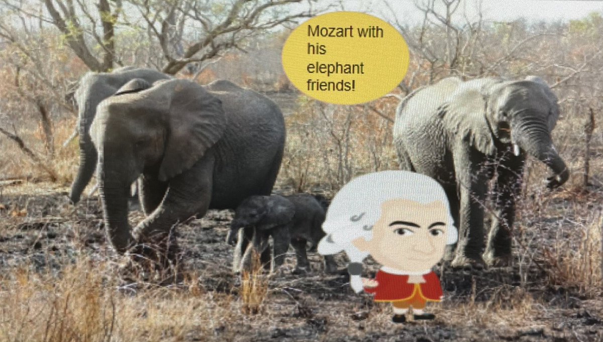 Kamryn C. Grade 4 <a href="/FlatMozart/">Flat Mozart - Sayville</a>