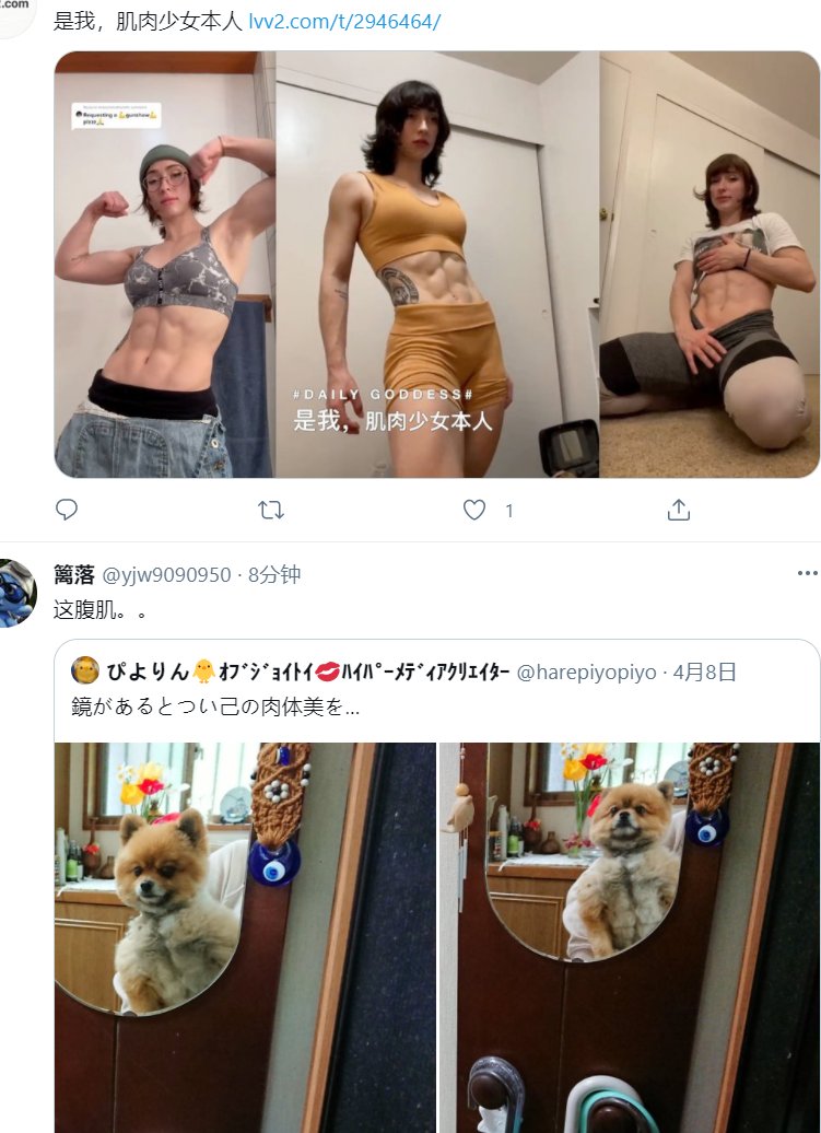Roy 小剧场 Roy 小剧场