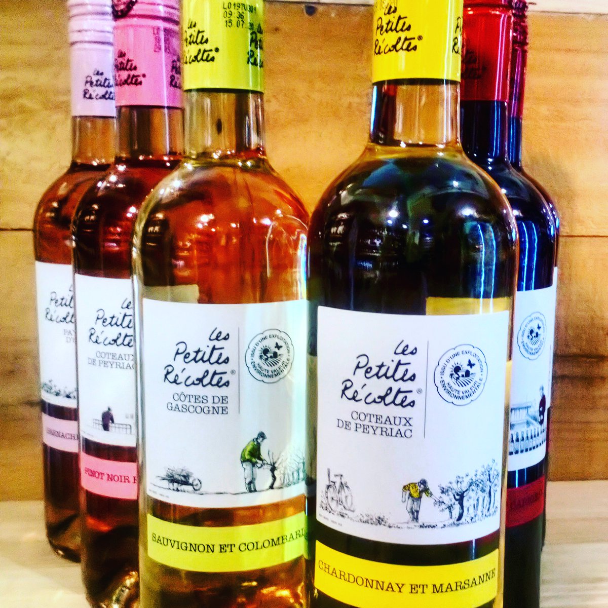 LES PETITES RÉCOLTES
🌸🌻🌸🌻🌸🌻
@lespetitesrecoltes 
#discover #lespetitesrecoltes #winecase #greatvalue #bargain #spiritedwines #wineselection #greatvariety #grenache #carignan #cabernetsauvignon #merlot #chardonnay #marsanne #cinsault #marselan #differentgrapes #fridaymood