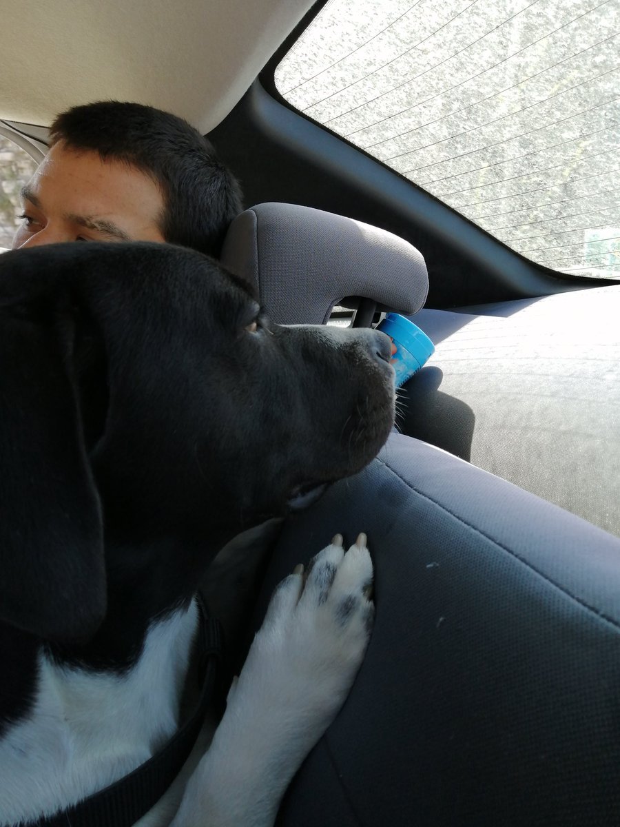 Yüyü yüyeyim gidelim buyalaydan aşk bizimle deyiiil......