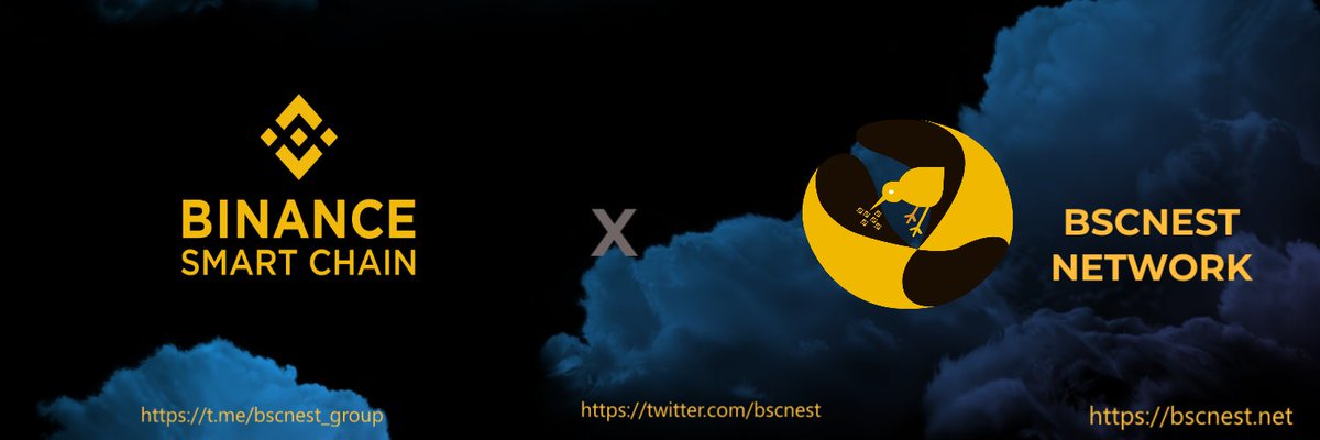 BSCNEST NETWORK tweet media