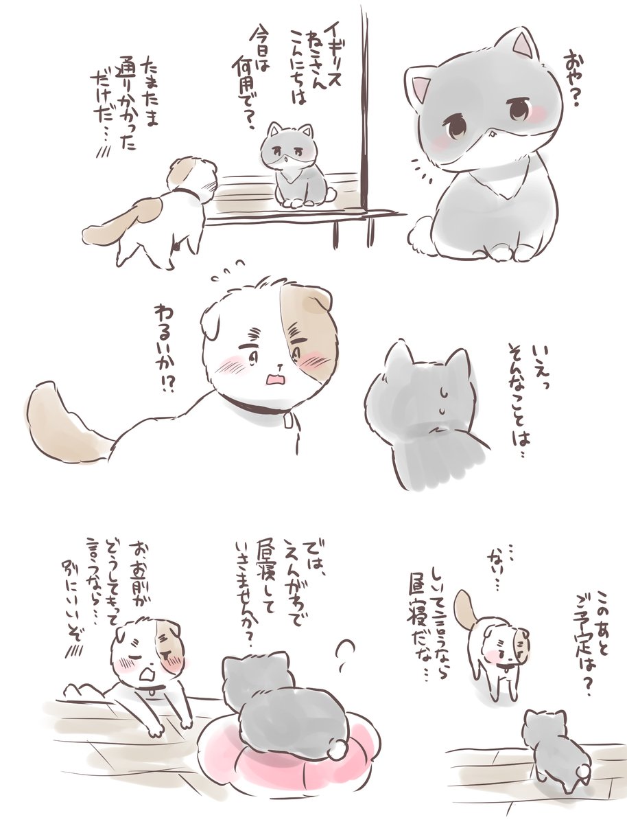 ムンムっコ Munmudayo さんの漫画 173作目 ツイコミ 仮 ムンムっコ Munmudayo さんの漫画 173作目 ツイコミ 仮