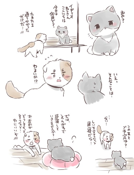 ムンムっコさん の人気ツイート 1 Whotwi グラフィカルtwitter分析 ムンムっコさん の人気ツイート 1 Whotwi グラフィカルtwitter分析