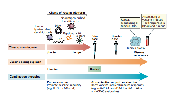 Developing personalized cancer vaccines. A great review in <a href="/NatRevClinOncol/">NatureRevClinOncol</a> #personalized  #immunotherapy
nature.com/articles/s4157…