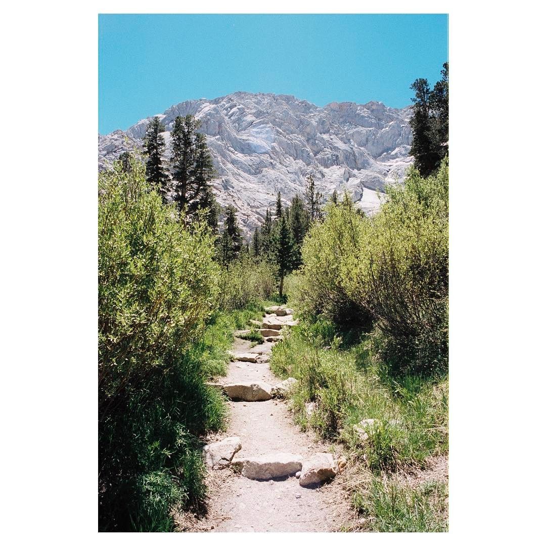 ColeSupporting's tweet image. The Beauty in his work is amazing....