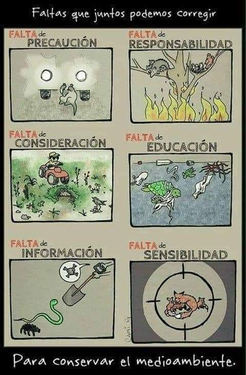 pinosysembrados's tweet photo. ¿Para qué sirve la #educaciónmedioambiental?
Pues para corregir la falta de... https://t.co/95ZnPgwUWl