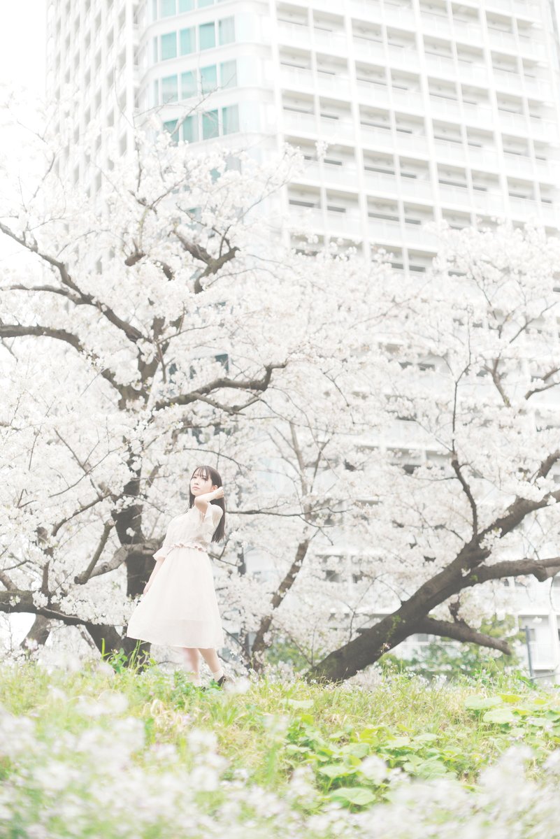 春の 風 を 待つ あの 花 の よう に