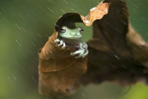 DavidTheTeaGuy's tweet photo. I’ll take a rain check! https://t.co/pqhYJeKBr2