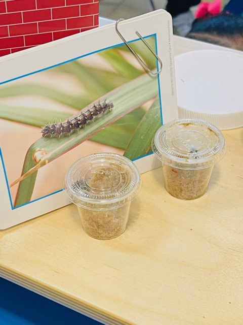 ICanReadDallas's tweet photo. Thank you, Neighborhood Christian Learning Center, for a great center visit today! We enjoyed listening to the students tell us about their caterpillar adventures! Quality learning experiences are happening for sure! 🌟📚🍎#PreKPartnerships #PreKMatters @mapymol @Mo1Ramirez https://t.co/4MjEeAdiYl