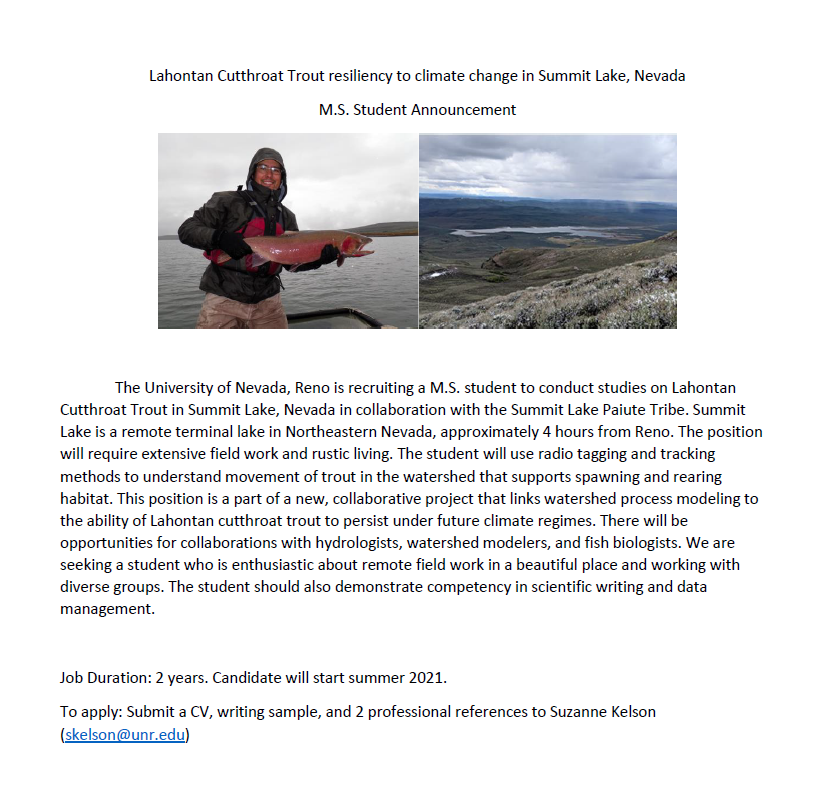 We are hiring a M.S. student! Please pass along. The position will have extensive field work to track threatened Lahontan Cutthroat Trout in the rugged streams that drain into Summit Lake, Northern NV. Opportunities to collaborate with hydrologists, modelers, and tribal members.