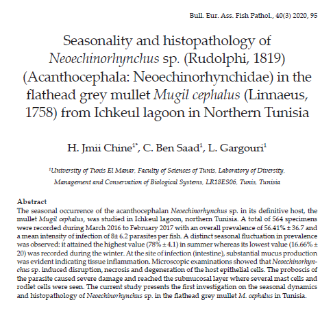 ChirazBenSaad1's tweet photo. Our #Paper :
Seasonality and histopathology of
Neoechinorhynchus sp. (Rudolphi, 1819)
(Acanthocephala: Neoechinorhynchidae) in the
flathead grey mullet Mugil cephalus (Linnaeus,
1758) from Ichkeul lagoon in Northern Tunisia
#Histopathology #FishPathology https://t.co/r5rDmV51PF