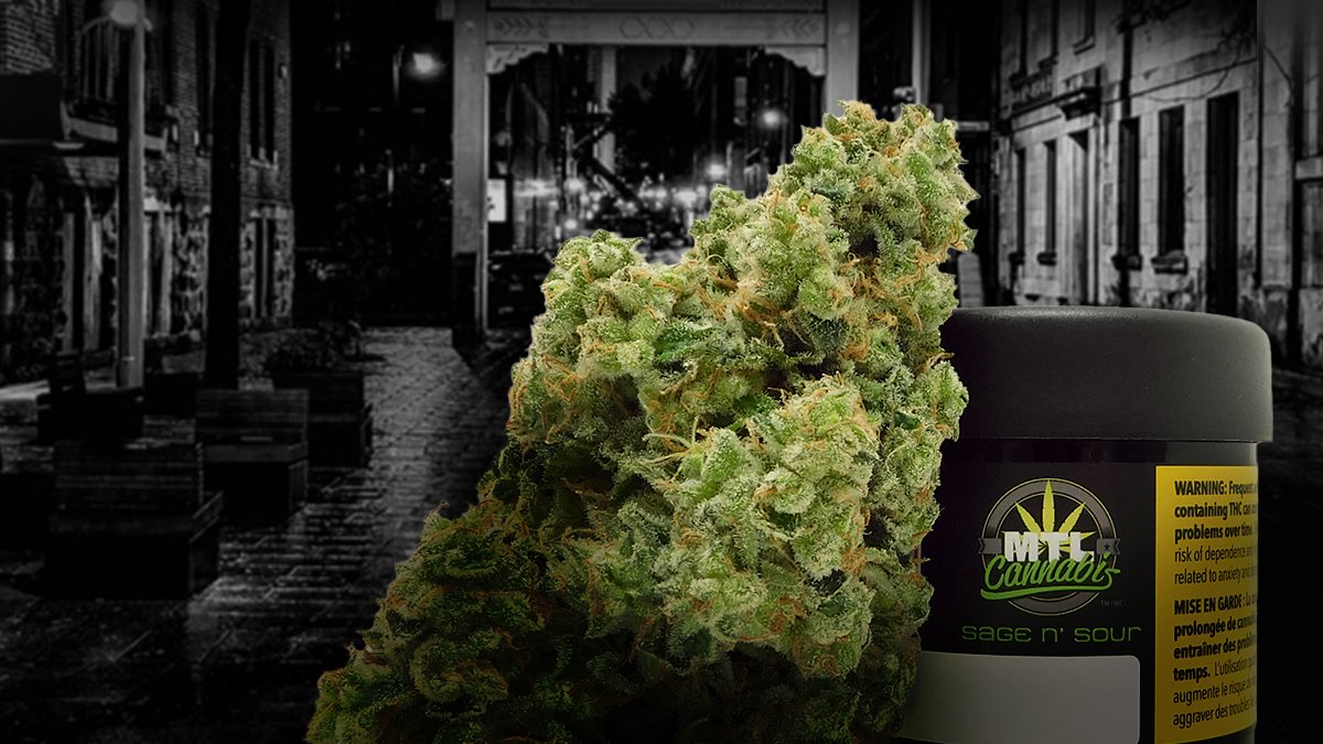 MTL Cannabis tweet media