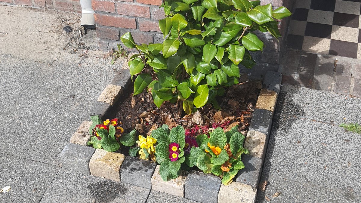 Tegel eruit, plant erin.