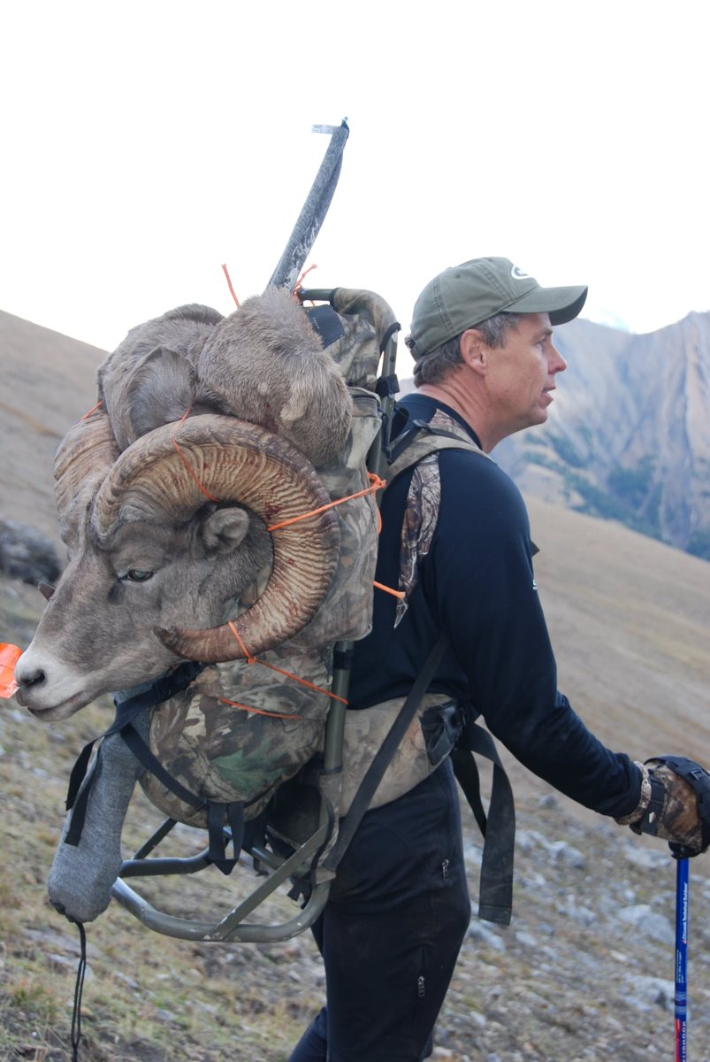 Two things in life you are in control of: your attitude and your effort! <a href="/sakocanada/">SAKO CANADA</a> 
.
.
.
.
#bighornsheep #sheephunting  #mountains #mountainhunter #sako #Hornady #huntingisconservation #internationalhunter #zeisshunting