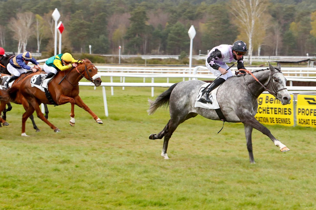 BOIS D'ARGENT (Toronado @SwettenhamStud) marque les esprits et effectue une rentrée gagnante dans le Prix Goldikova (Classe 2) à Fontainebleau ! Il est entraîné par @GraffardRacing et était associé à @PCBOUDOT ! c'est la casaque de @clement_lenglet .