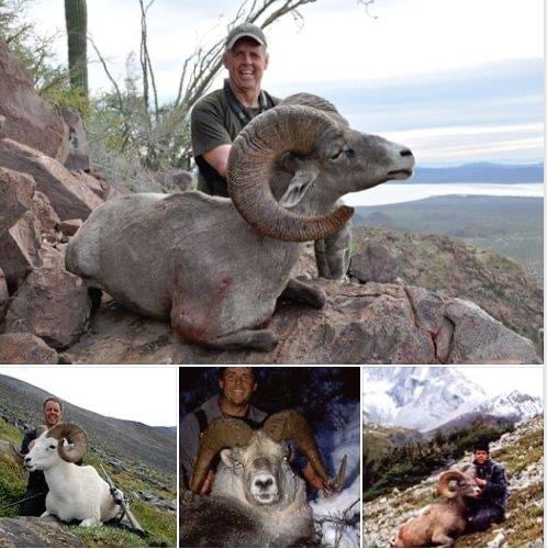 Some see a Grand Slam. Some see a FNAWS. We see an amazing collection of memories acquired over three decades 
.
.
.
.
.
#sheephunting #bighornsheep #dallsheep #stonesheep #desertsheep #grandslam #fnaws #mountains #mountainhunting #memories