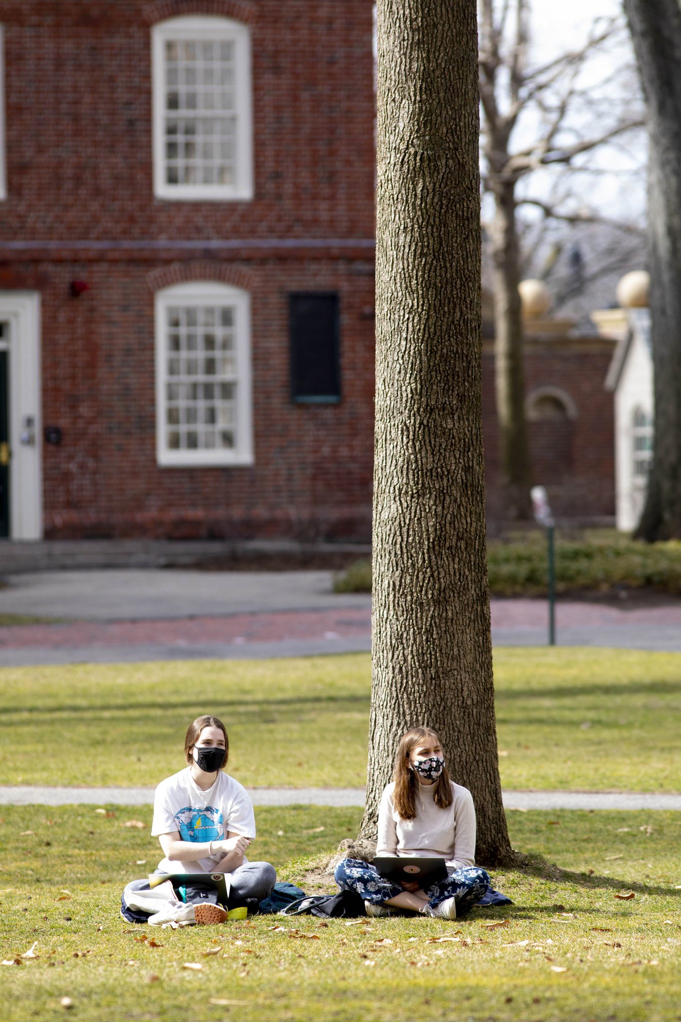 Harvard University on Twitter "Enjoying nice weather at Harvard. 