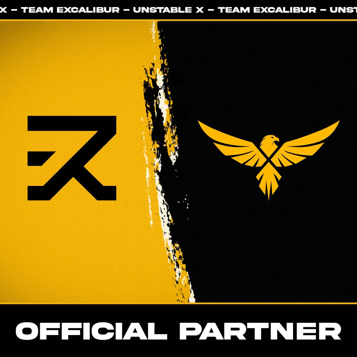 Team UnstableX tweet media