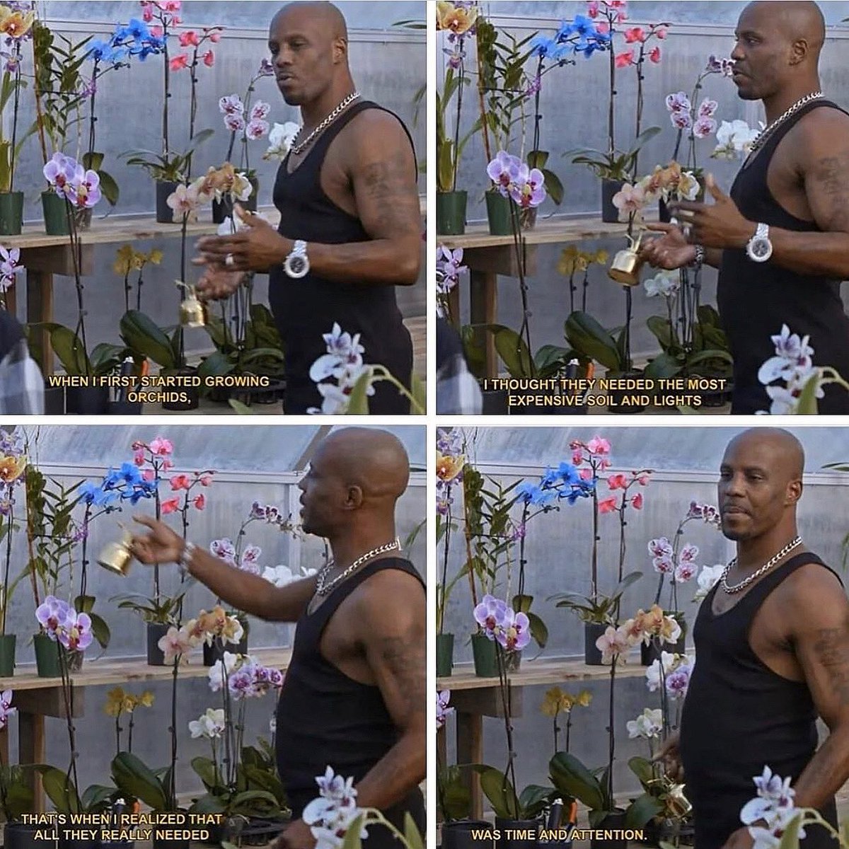 musegold's tweet image. thank you💔