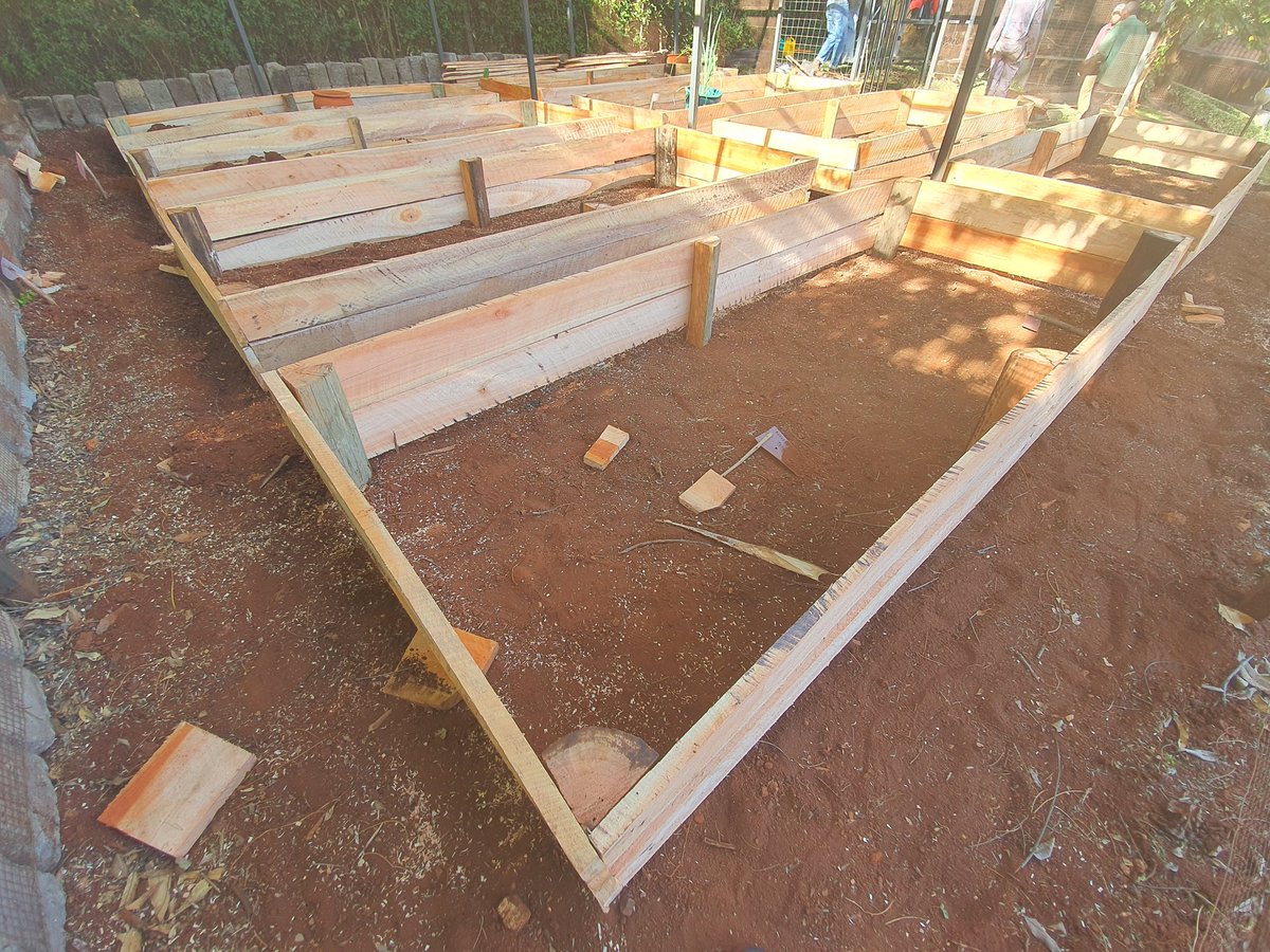 ritawanjirumugo's tweet image. How I got there:

Setting up the beds like only an architect can 😉 Laying out some great foundation courtesy of @essentiakanan Lisha compost for transplanting the seedlings and more important, topdressing!

#UkulimaSiUshamba
#ArchitectureIsEverywhere