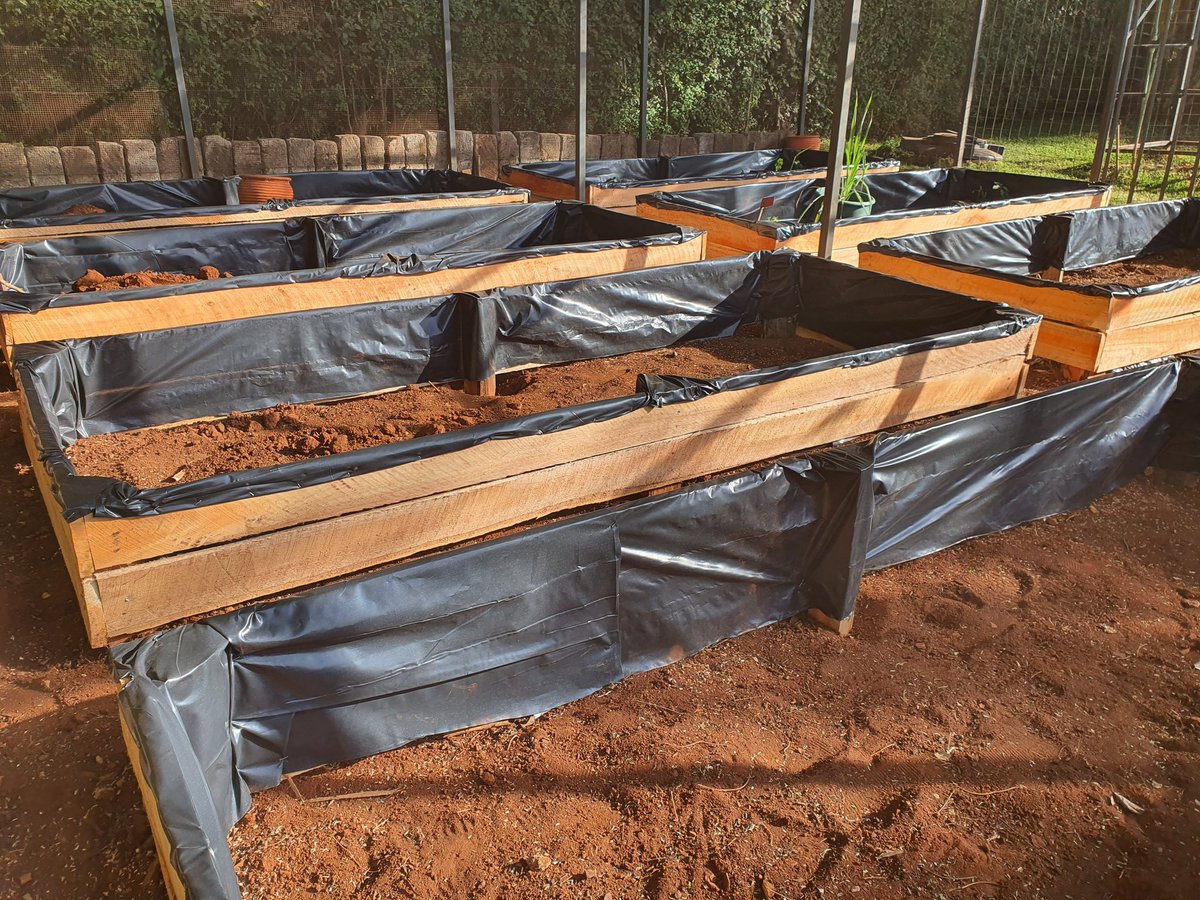 ritawanjirumugo's tweet image. How I got there:

Setting up the beds like only an architect can 😉 Laying out some great foundation courtesy of @essentiakanan Lisha compost for transplanting the seedlings and more important, topdressing!

#UkulimaSiUshamba
#ArchitectureIsEverywhere