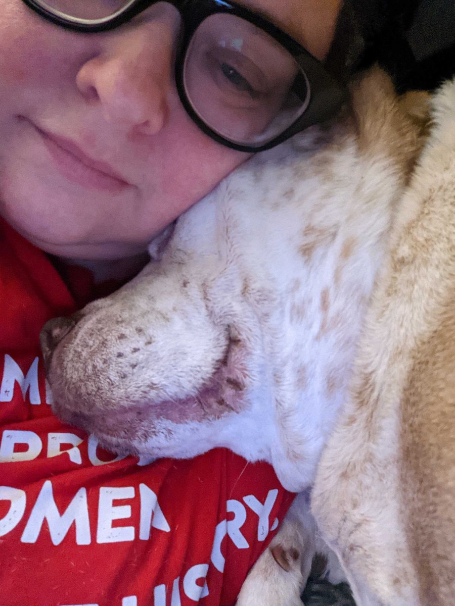 traitify's tweet photo. This is Tyson
Since Lynn Morton found her 2 years ago, she's easily attained 10,000 hours to be an expert couch potato with high agreeableness. But don't be fooled. At 12, she's high in emotional stability, having endured anything life throws at her
#traitify #petswithpersonality https://t.co/o2Ixj87f1S