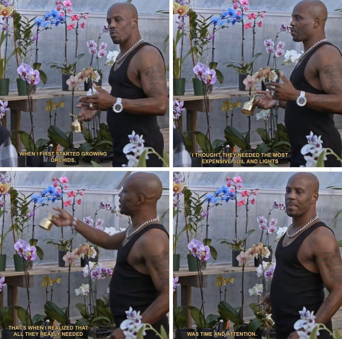 DMX and his orchids as a metaphor for life.