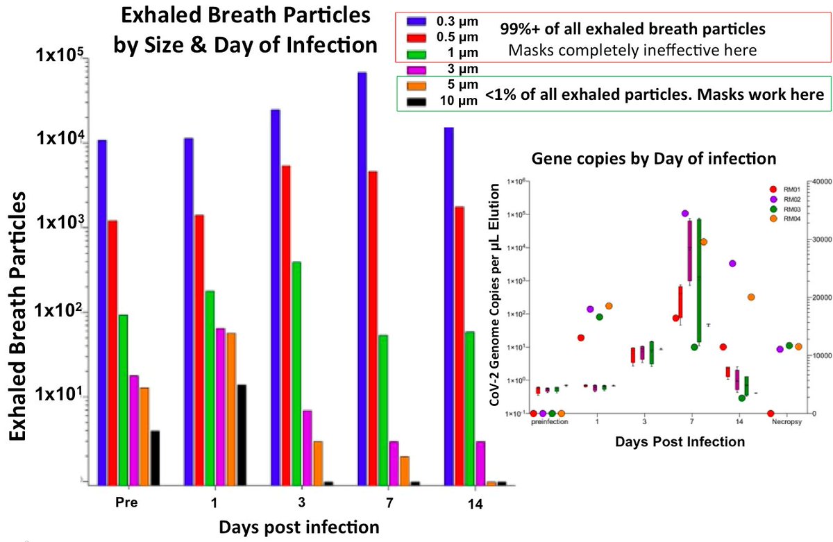 7/Additionally, we see that when the viral load peaks, around 7 days, aerosols <0.3 microns increase by 10-fold—to almost 100K. And those over 1 micron drop below 10.  https://www.pnas.org/content/1...