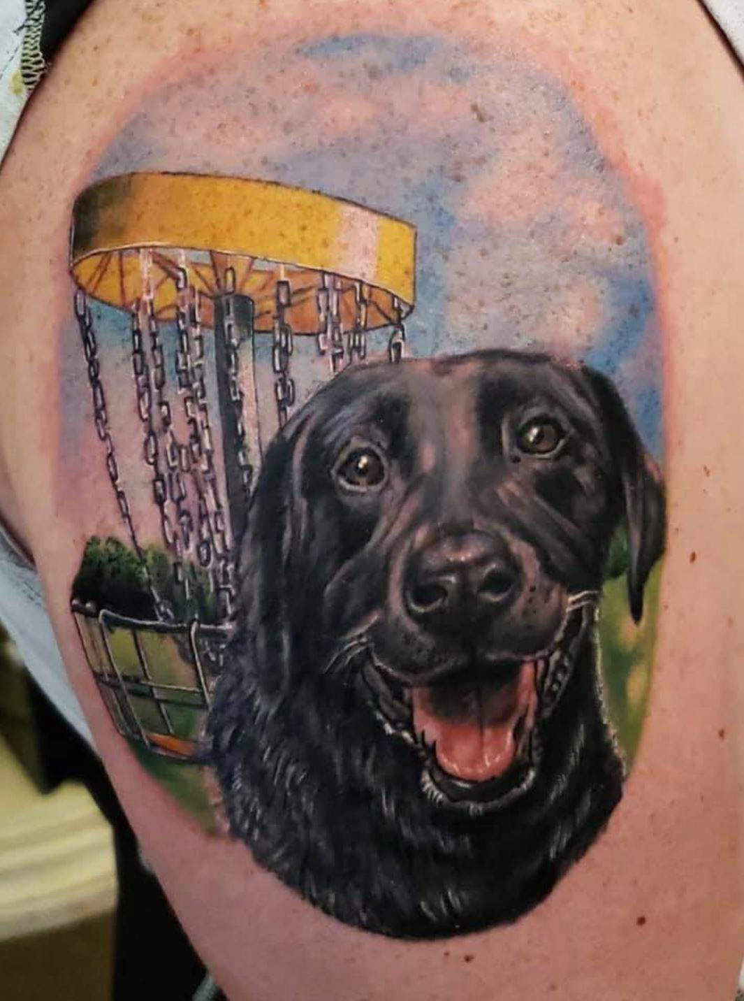 Pin by Heather Donnelly on My Style  Disc golf Golf tattoo Disc golf  basket