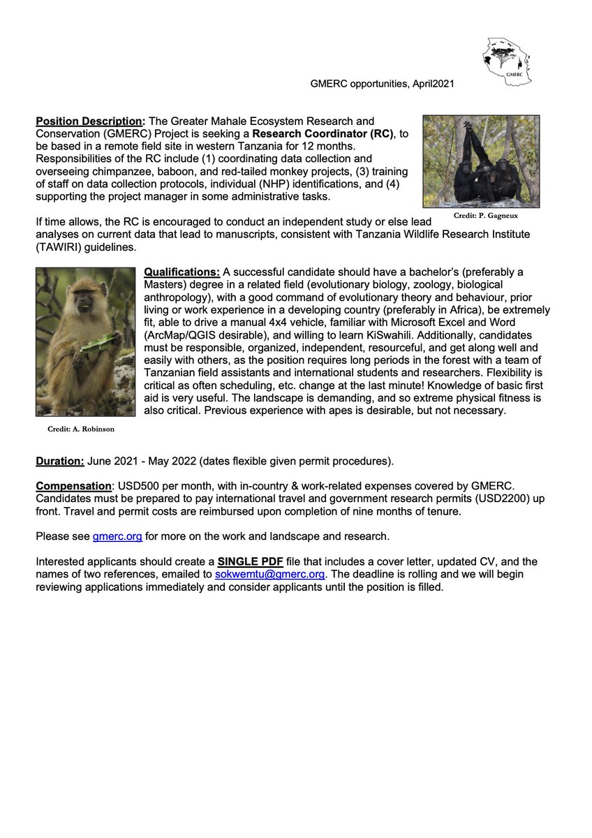 GMERC_TZ's tweet photo. We're hiring!!! Field-based Research Coordinator sought for long-term primate project based in western Tanzania. See more @ https://t.co/xnNBWaLB2c! https://t.co/0TdqEMVmXe