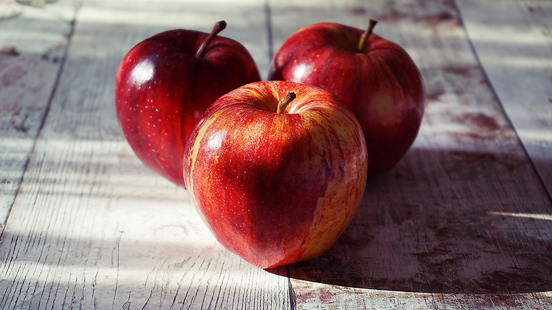 DanielNorero's tweet photo. Chilean scientist develops healthier, more attractive and adapted to local climate apples through gene editing 🍎 [Spanish] https://t.co/Hiv74s3KR8 | More about Dr. Stange's pioneering work: she also develops salinity/drought tolerant edited🥝&amp;🍅https://t.co/9xaJgDOAw2 #CRISPR https://t.co/kNrqNYyMfc