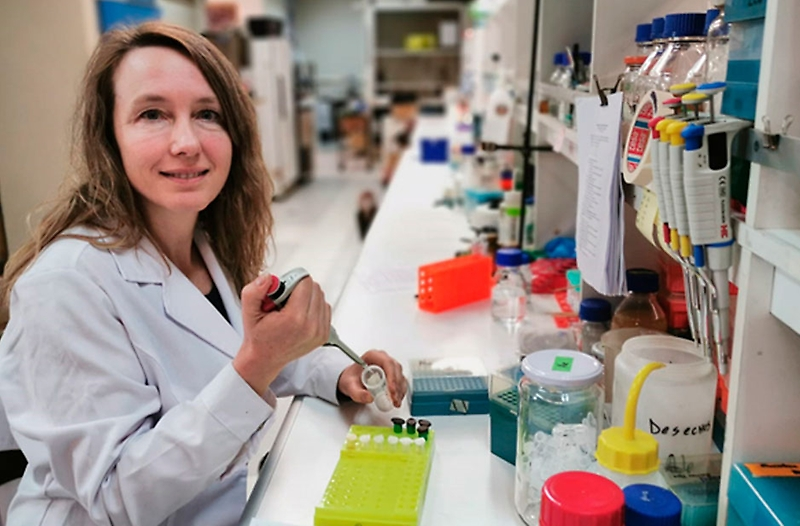 DanielNorero's tweet photo. Chilean scientist develops healthier, more attractive and adapted to local climate apples through gene editing 🍎 [Spanish] https://t.co/Hiv74s3KR8 | More about Dr. Stange's pioneering work: she also develops salinity/drought tolerant edited🥝&amp;🍅https://t.co/9xaJgDOAw2 #CRISPR https://t.co/kNrqNYyMfc