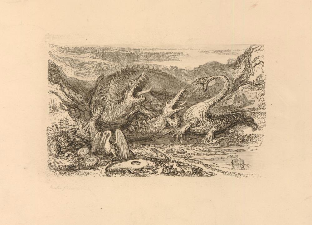 Naomi_Daw's tweet image. John Martin’s ‘The country of the Iguanodon’ (1838) depicts an iguanodon being attacked by a crocodile and a megalosaurus, while another fights a hylaeosaurus in the background. The print also depicts a pterodactyl and other animals including tortoises. #FossilFriday #dinosaurs