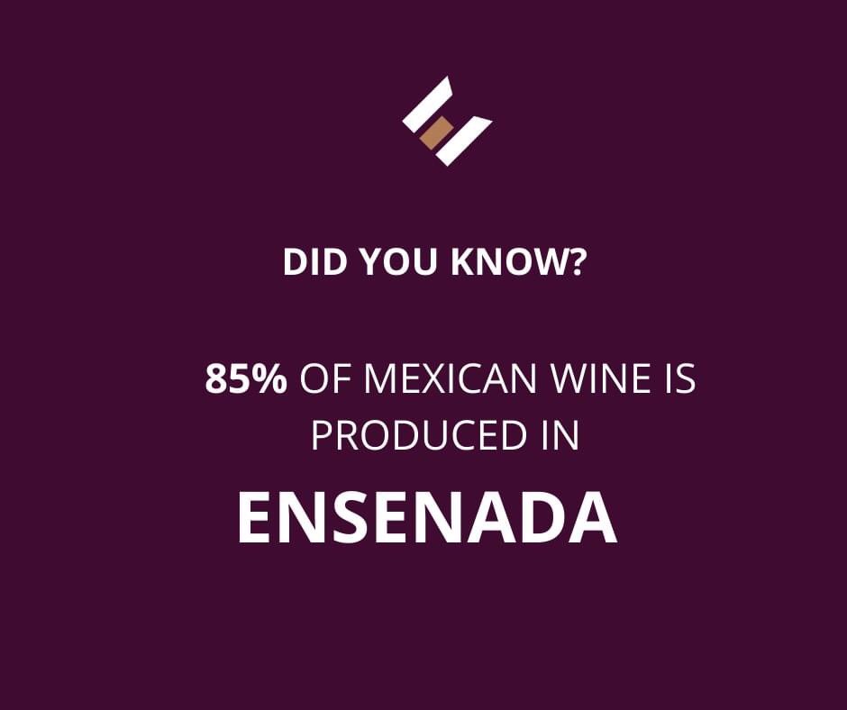 Ensenada EDC tweet media