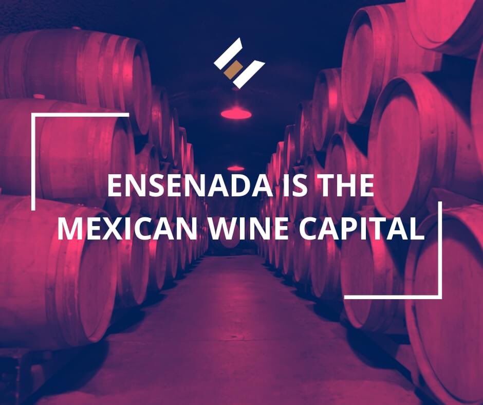 Ensenada EDC tweet media