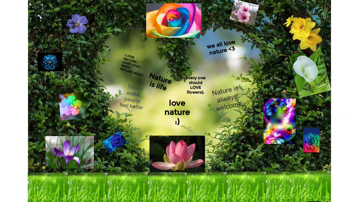 missalingary's tweet photo. Happy Gratitude Day from the grade 3s! 🍃 #EVSlearning @EVS_YRDSB https://t.co/Zum42mnKEj
