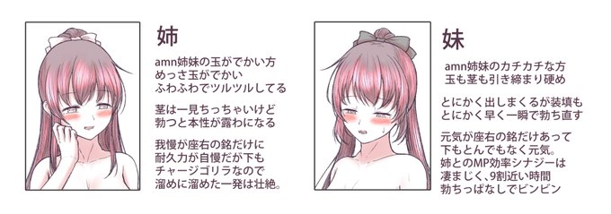 ⚥amn姉妹の解説用怪文書も作りました(そんなもの作るな 