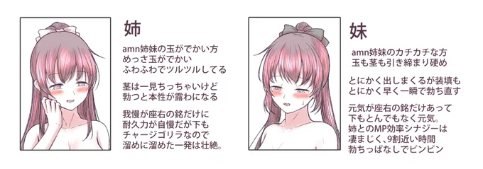 ⚥amn姉妹の解説用怪文書も作りました(そんなもの作るな 