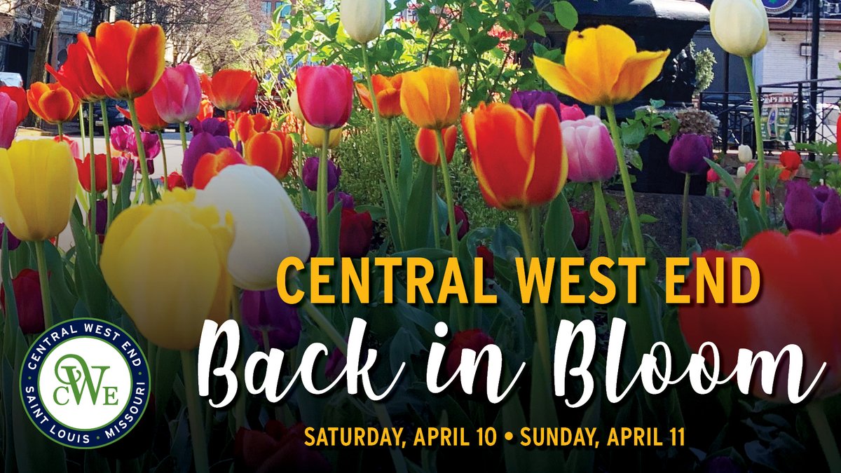 Lindsay_Pattan's tweet photo. The weather is looking up for the weekend. @beganovic2021's lands back in STL this afternoon. Lots of change to celebrate and a new season to enjoy. Thinking champagne while wandering Back in Bloom!
Info: https://t.co/MjVXIqMHrH #CWEScene #BackInBloom @STLcwescene https://t.co/rMYGof9TcQ
