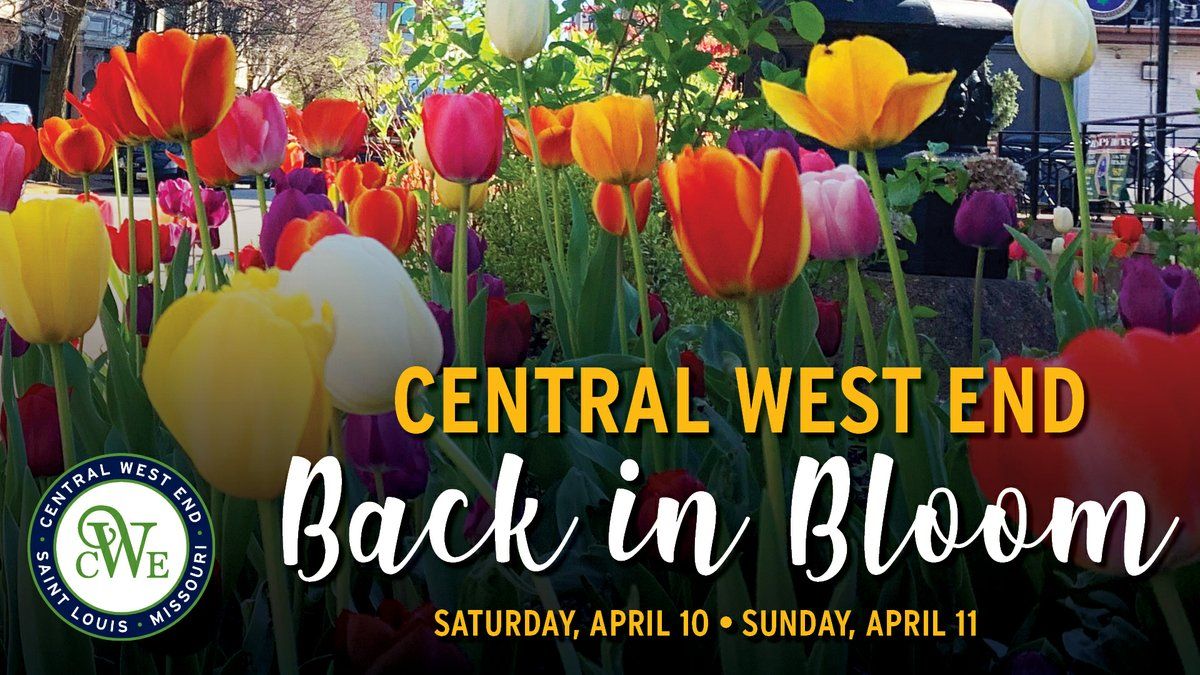 buywithbruch's tweet photo. CWE- My old stomping grounds. This weather and those flowers = a great day of outdoor shopping, eating, and exploring! #checkitout #cwe #backinbloom #tulips #springtime #springthings #springhassprung #yourSTLrealtor #STLrealestate #buywithbruch https://t.co/shJqdLTMMM https://t.co/YDcaHISHDp