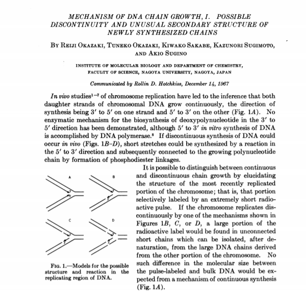 MySoCalledLab's tweet photo. Tsuneko Okazaki, together with her husband Reiji, discovered “Okazaki fragments” – short stretches of DNA that are formed in the process of DNA replication. These pieces were named in their honor by Rollin Hotchkiss during a meeting at Cold Spring Harbor Laboratory (CSHL) in 1968 https://t.co/D4IPVOqMxO