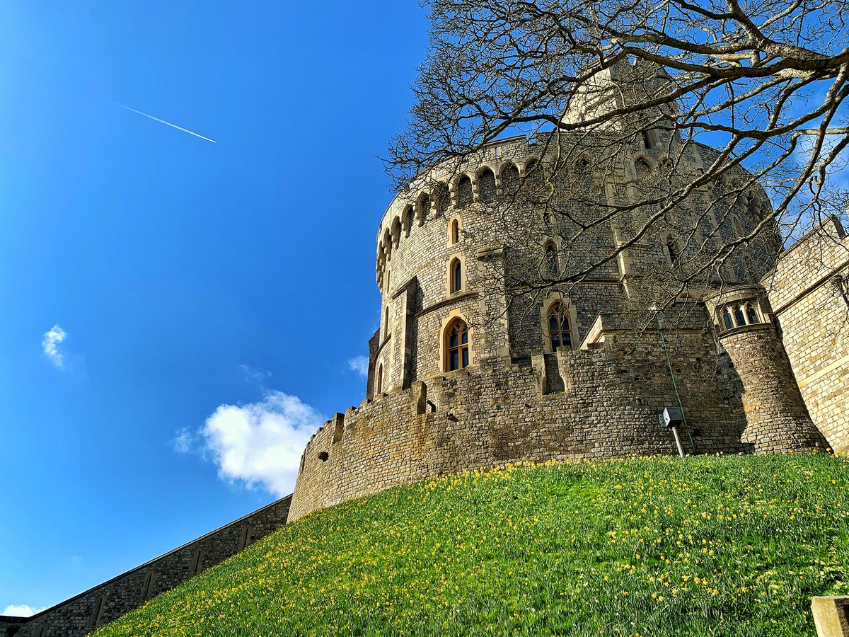 @thehistoryguy's photo on William