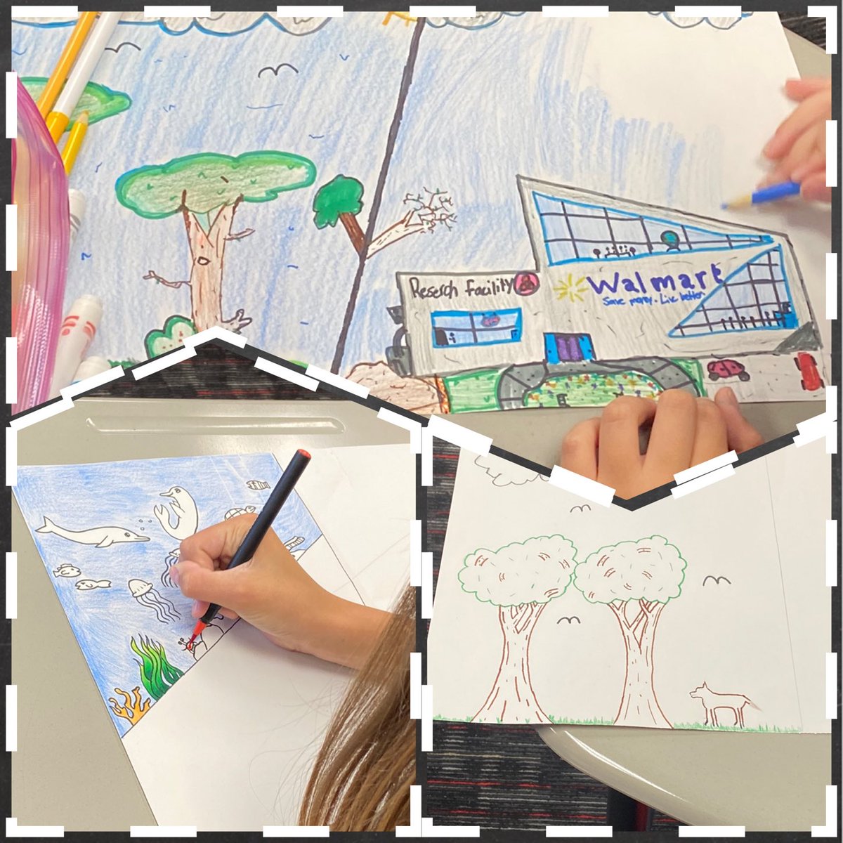 6th graders are working on an ecosystem project in science! ⁦<a href="/Latos6thPreston/">Julie Latos</a>⁩ #theprestonpride #ourPESadventure