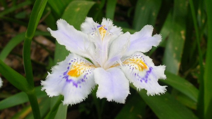 kamisama_kotoba's tweet image. Entrust everything to invisible force and live 100% in the Now.

見えない力にすべてお任せし、今を100％生きる。
#entrust #委ねる #invisible_force #見えない力