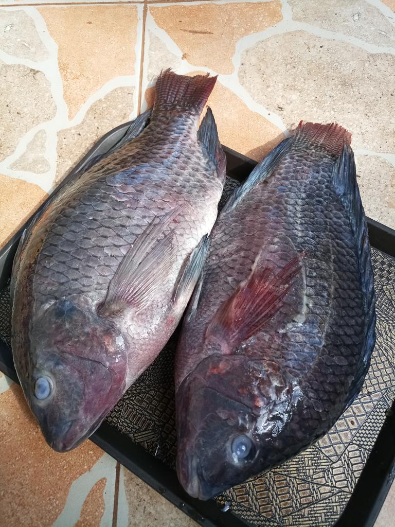0000Mats's tweet photo. Keeping up with @YaleloUganda..
Man in kitchen
#deliciousnessJust .... Results in thread https://t.co/LY8q698sy0