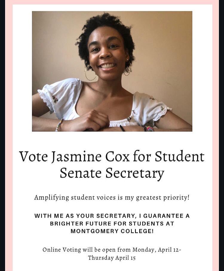 Gt-Senate@MC tweet media