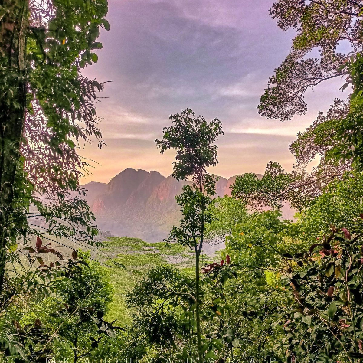 karuvadgraphy's tweet photo. Discover Sri Lanka through the untrodden destinations...
📍 Saptha Kanya Mountains, Sri Lanka

#ShotOnOPPO F19 PRO
@OPPO_SriLanka @oppo  
#visitsrilanka #photography #mobilephotography #srilanka #travel #traveller #dawn #sunrise #sunset #sky https://t.co/r5QSQKC7Pd